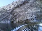 Tarleboveien