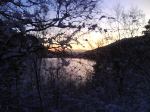 Tarleboveien